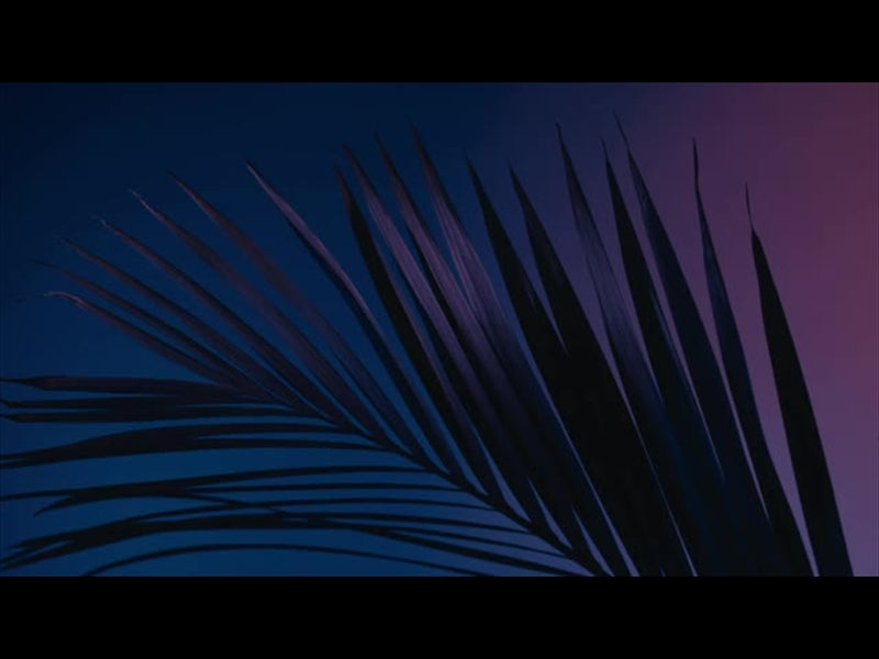 Cinematic Palms Loop 1