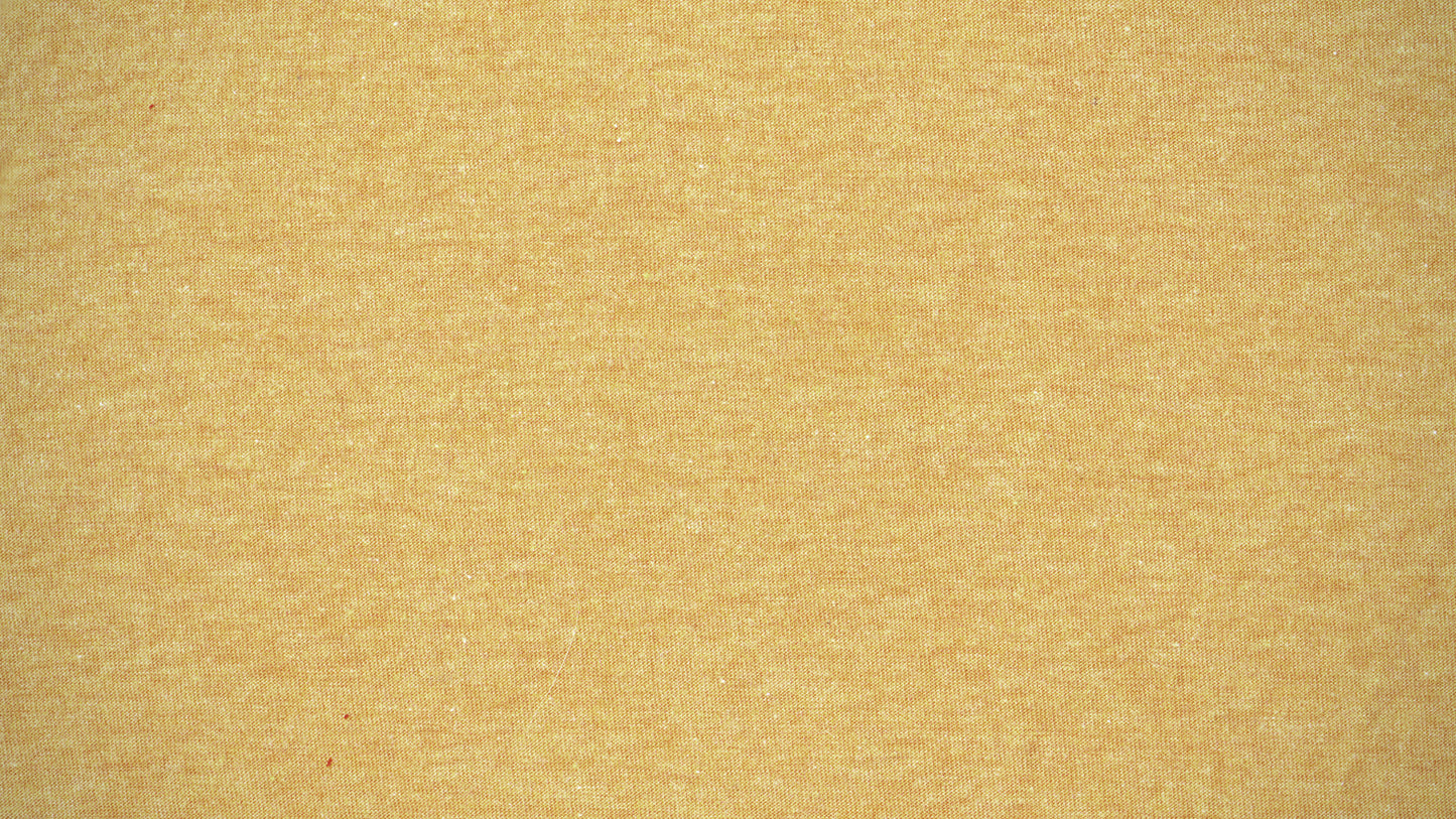 Turkey Day Texture Still
