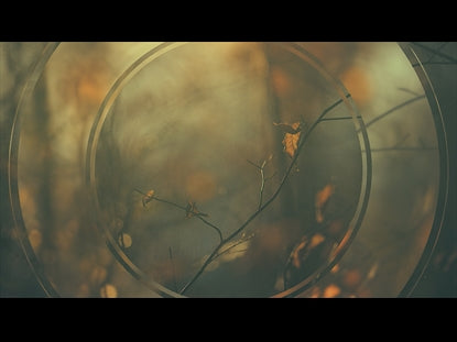 Restless Fall 4