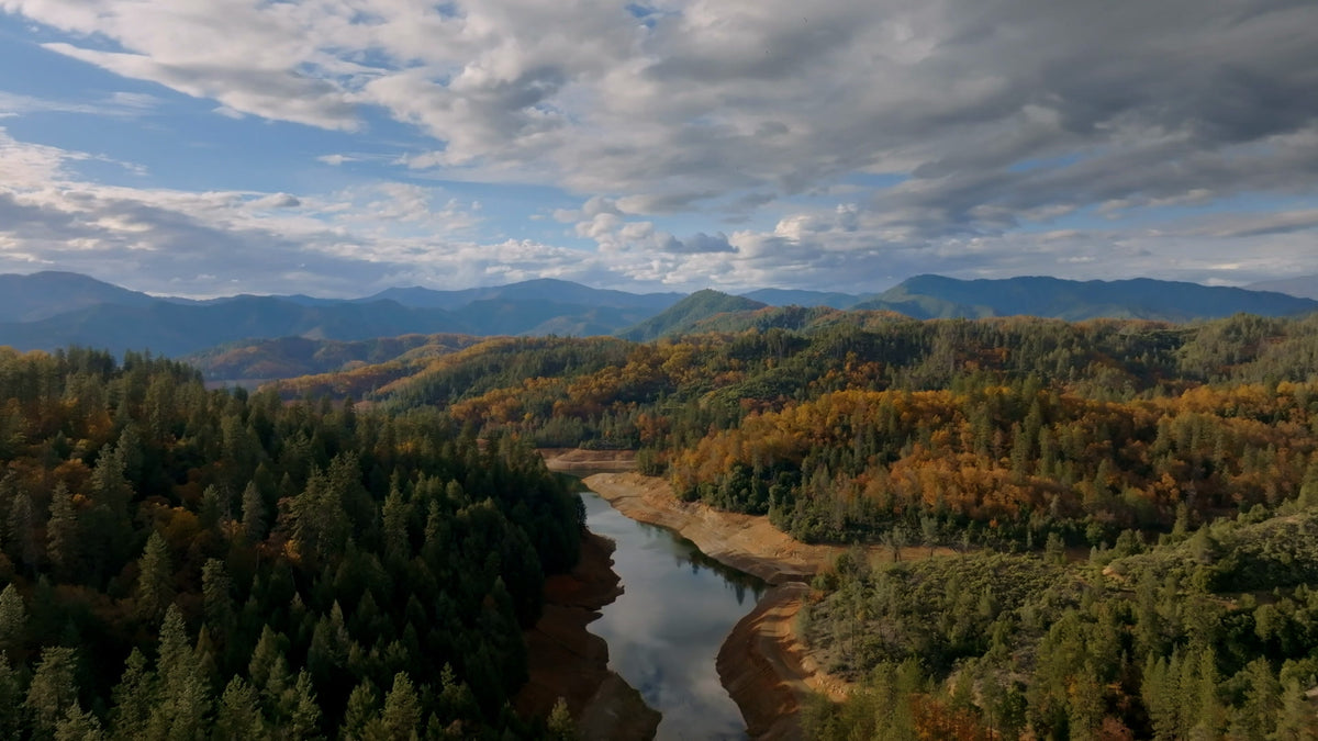Lake Shasta Motion Background 06