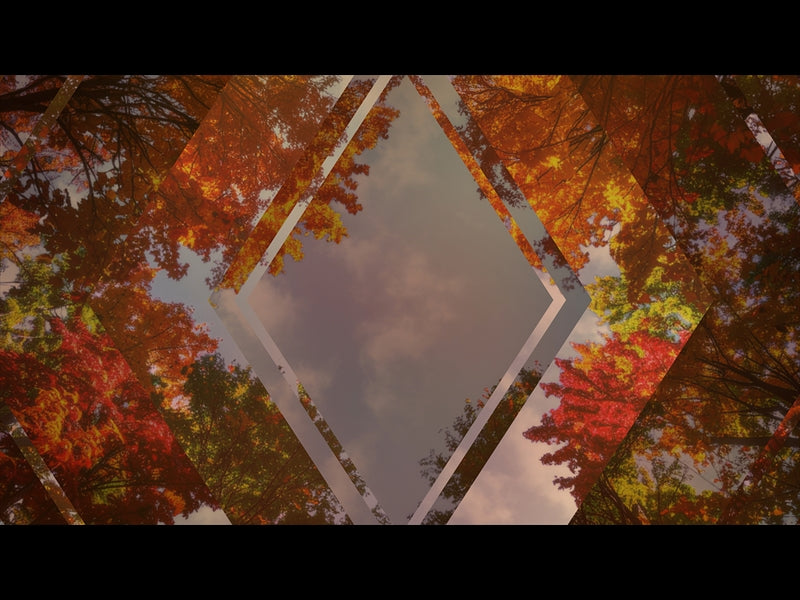 Fall Trees 1 Remix