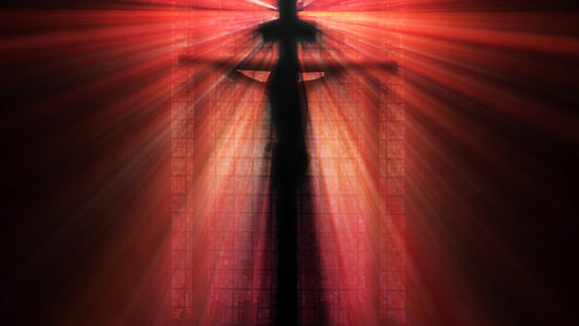 Illuminate 14 Still