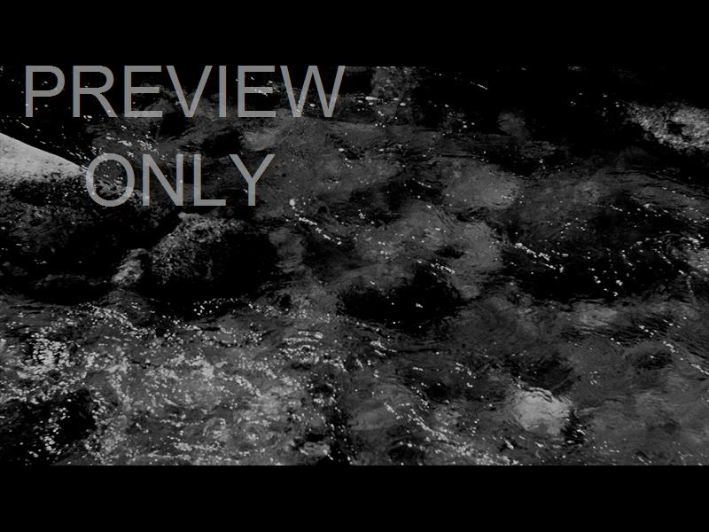 Black And White River 9 Still
