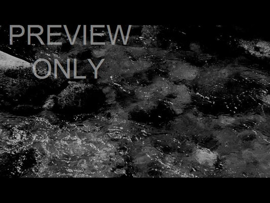 Black And White River 9 Still