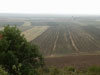 Jezreel Valley