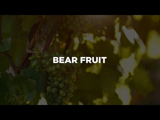 Bear Fruit