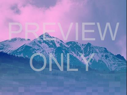 Resurrection Hope Still 5