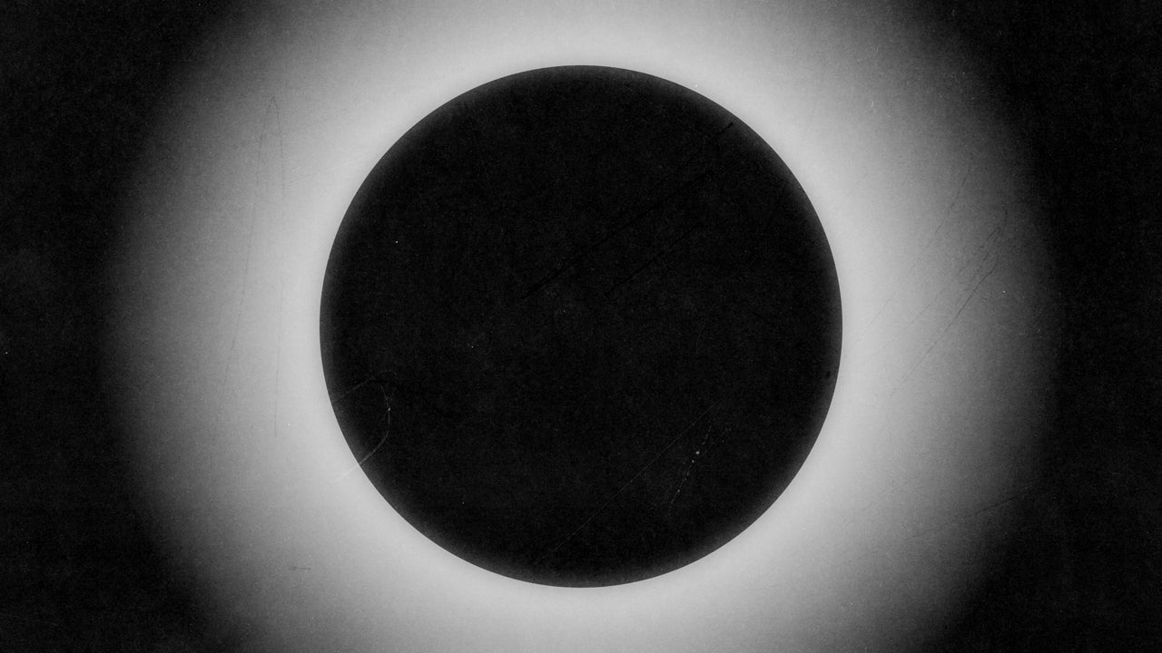 Silhouettes 11