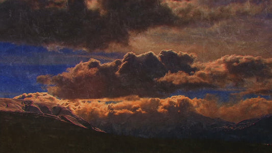 Natures Palette 3 Still