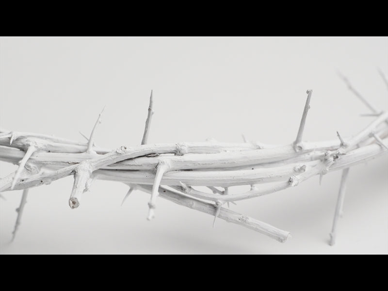 Crown Of Thorns White 3