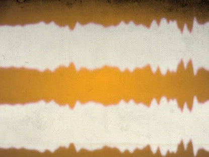 Electic Orange Motion