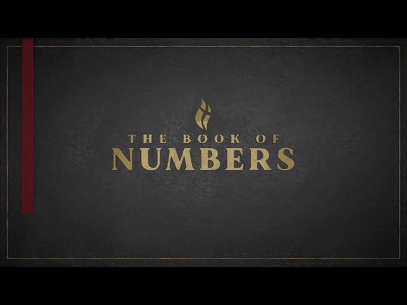 Numbers - Black