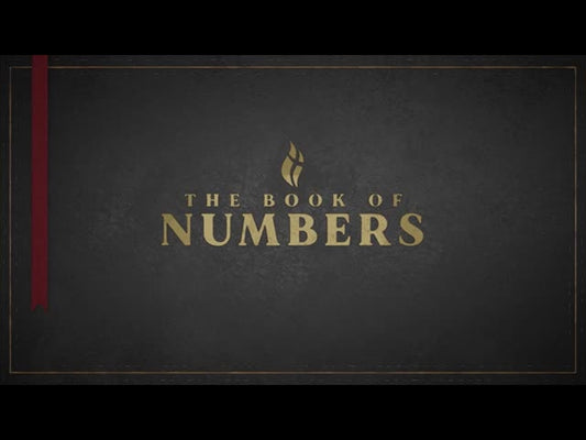 Numbers - Black