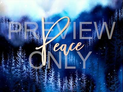 Christmas Woods Peace Still