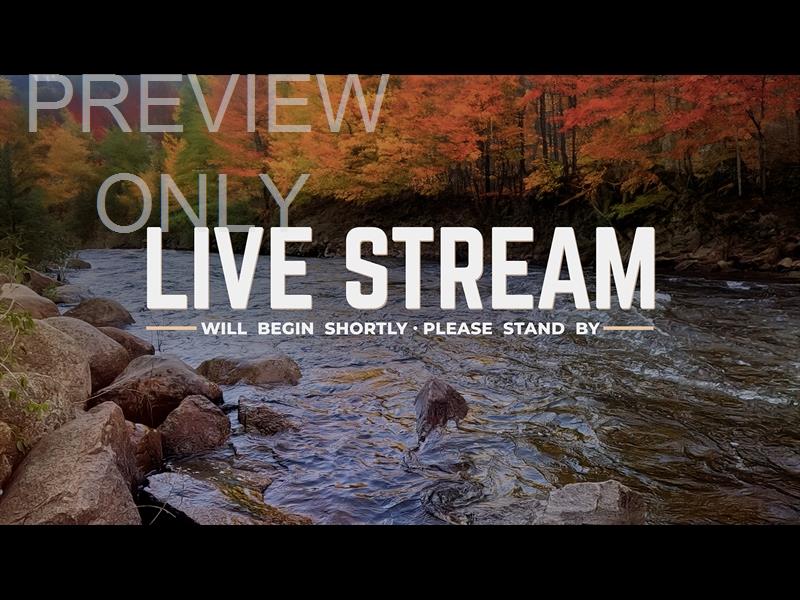 Northwest Fall Live Stream Still