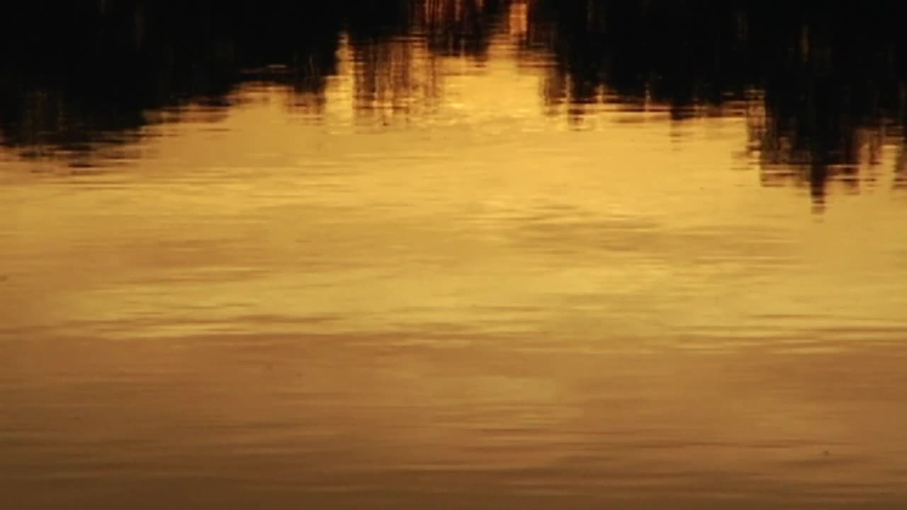 Calm Sunset Lake