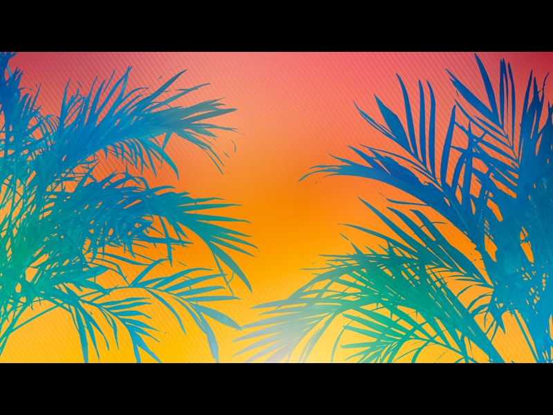 Sun Palms 1