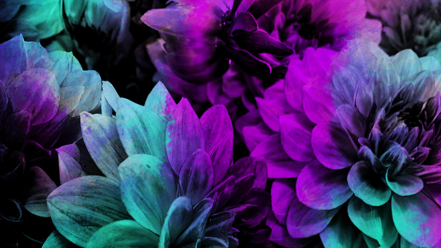 Floral Paint 12 Still