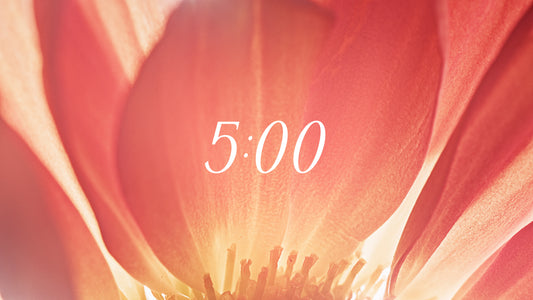 Flowers Of The Field Countdown 02