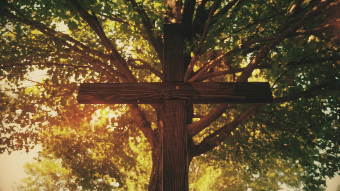 Nature Cross 10 Still