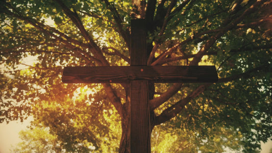 Cross 10 Still