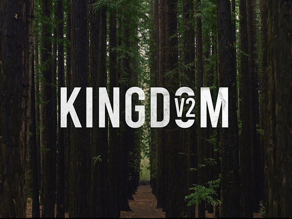Kingdom Vol 2