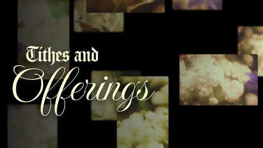 Bloom Again Tithes