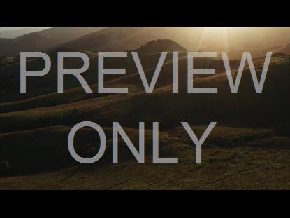 Green Valley 03 Still