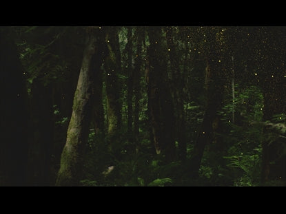 Forest Gold Motion Loop 01