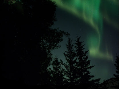 Aurora 6