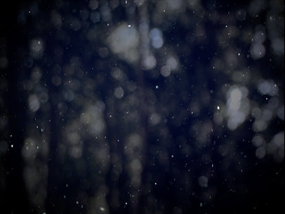 Winter Snow 18 Still