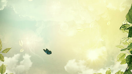 Mother'S Day Celebration Still 3