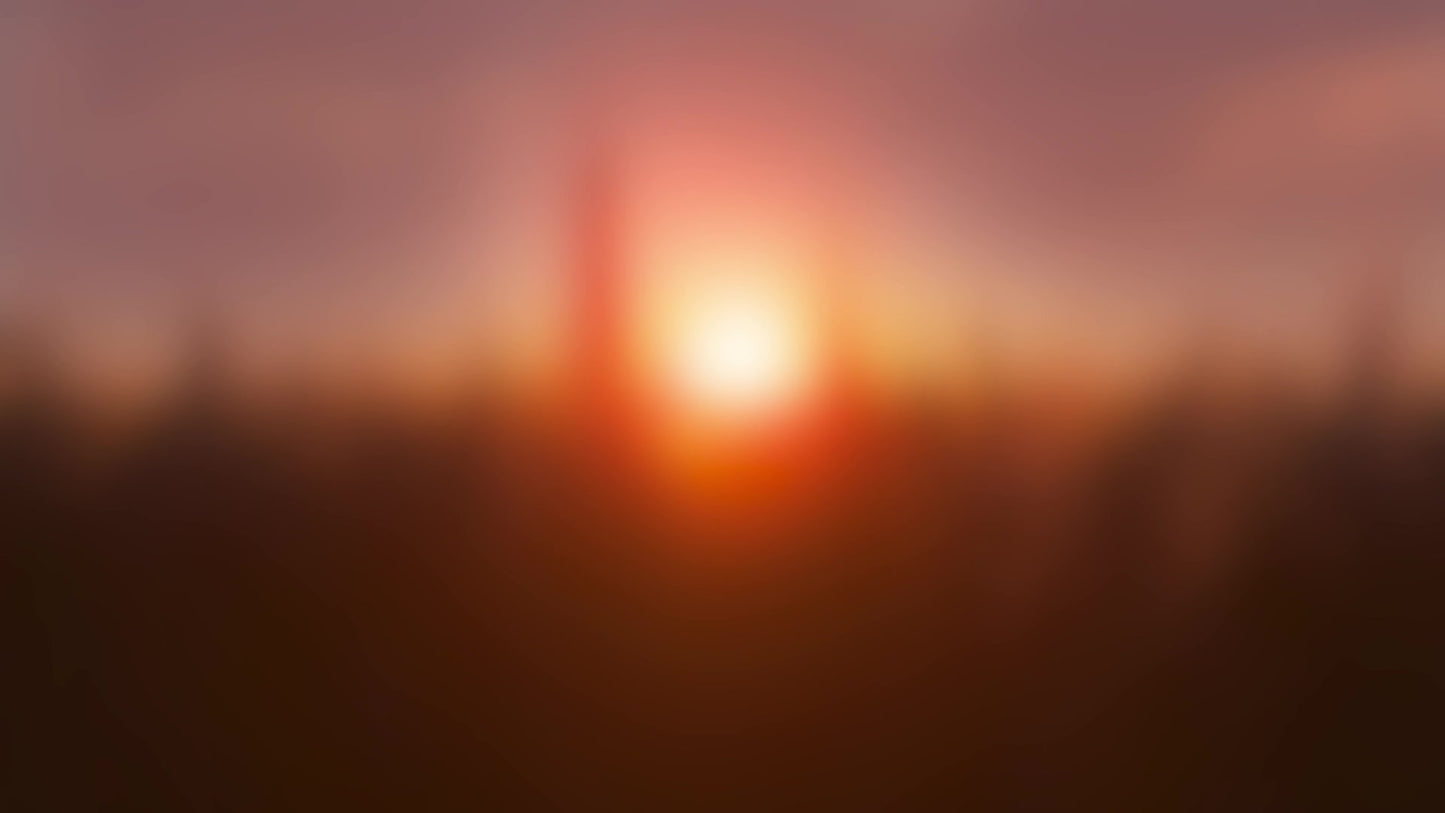 Golden Hour Close Blur Still