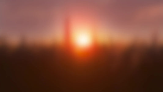 Golden Hour Close Blur
