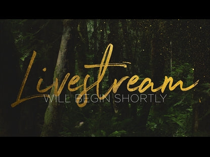 Forest Gold Livestream