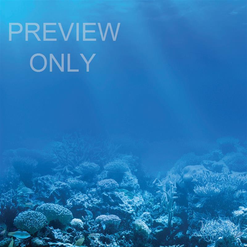 Father Son Fishing Day Social Graphic Blank