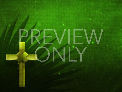 Holy Palms Still 2