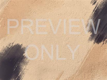 For Our Veterans Background Still