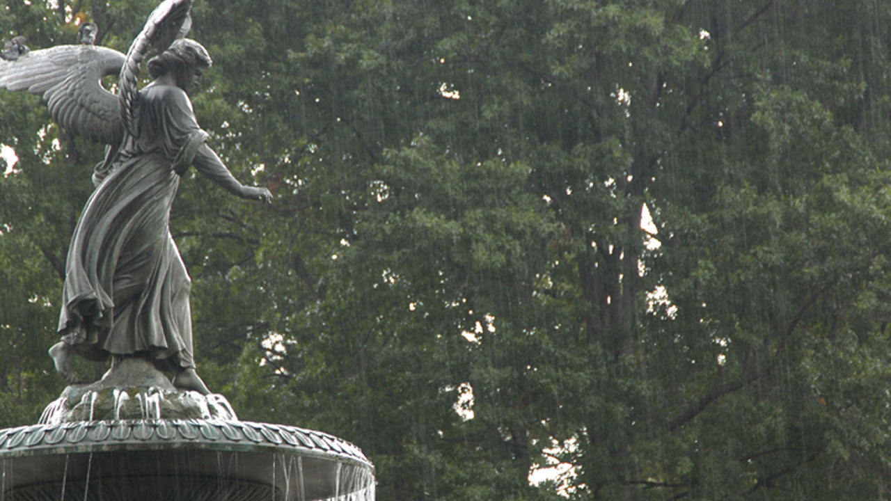 Fountain Rain