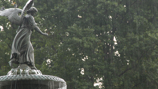 Fountain Rain