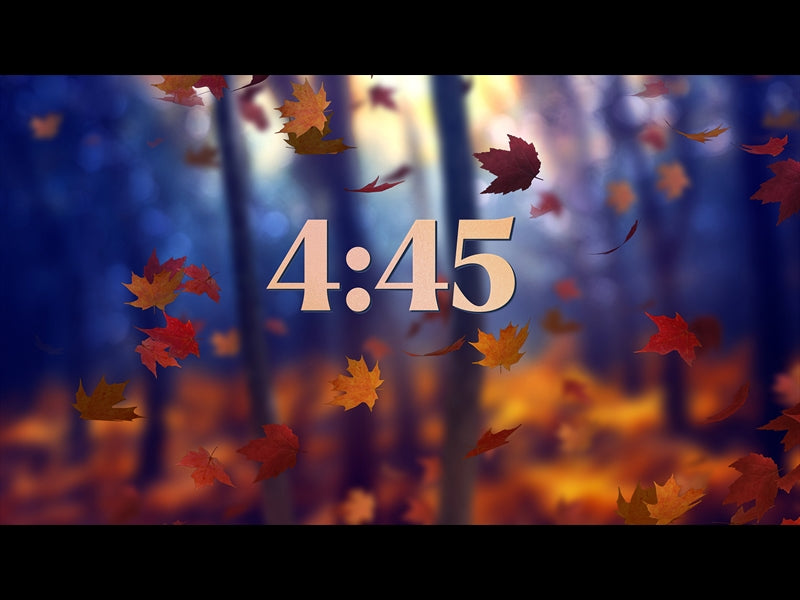 Fall Woods Minimal Countdown