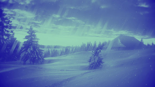 Holiday Visions 11 Alt Still