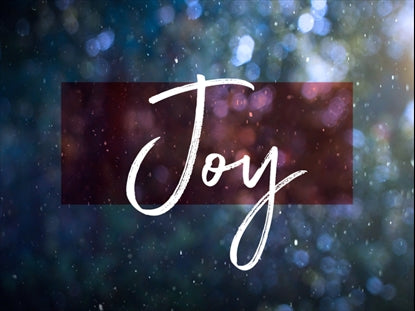 Winter Snow Joy