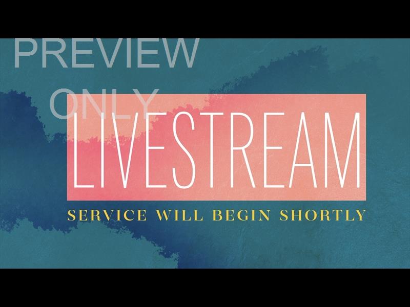 Pastel Livestream Still