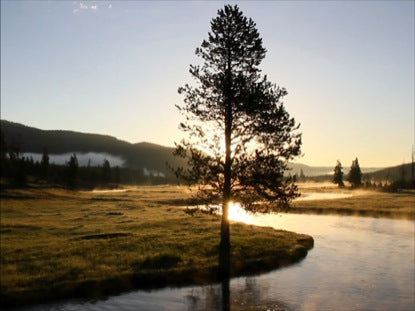 Gibbon River At Sunrise