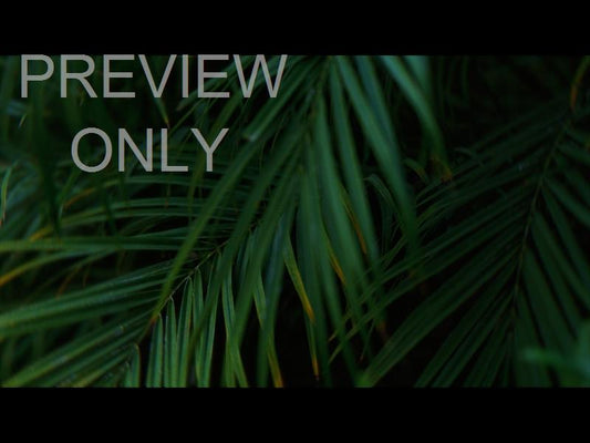 Springs Embrace Still Background 5