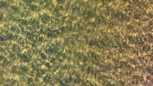 Pictured Rocks 3 Still