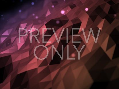 Fractal Flood Pink Orange