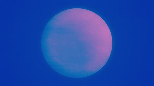 Silhouettes 16