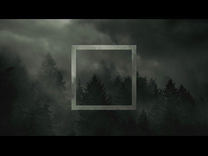 Overcast Forest